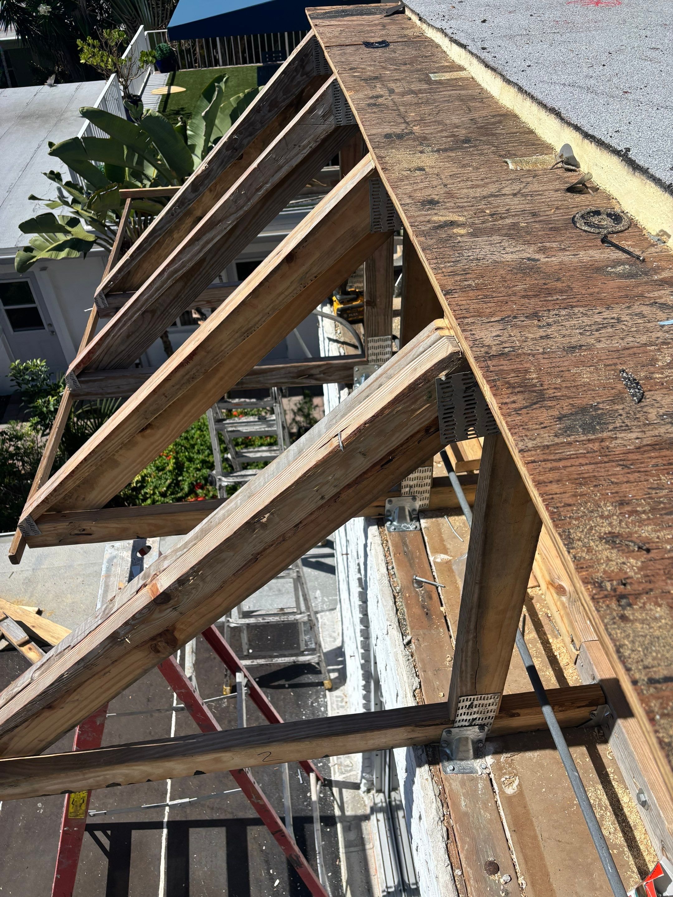 Beachview Lauderdale-By-The-Sea project photo 13