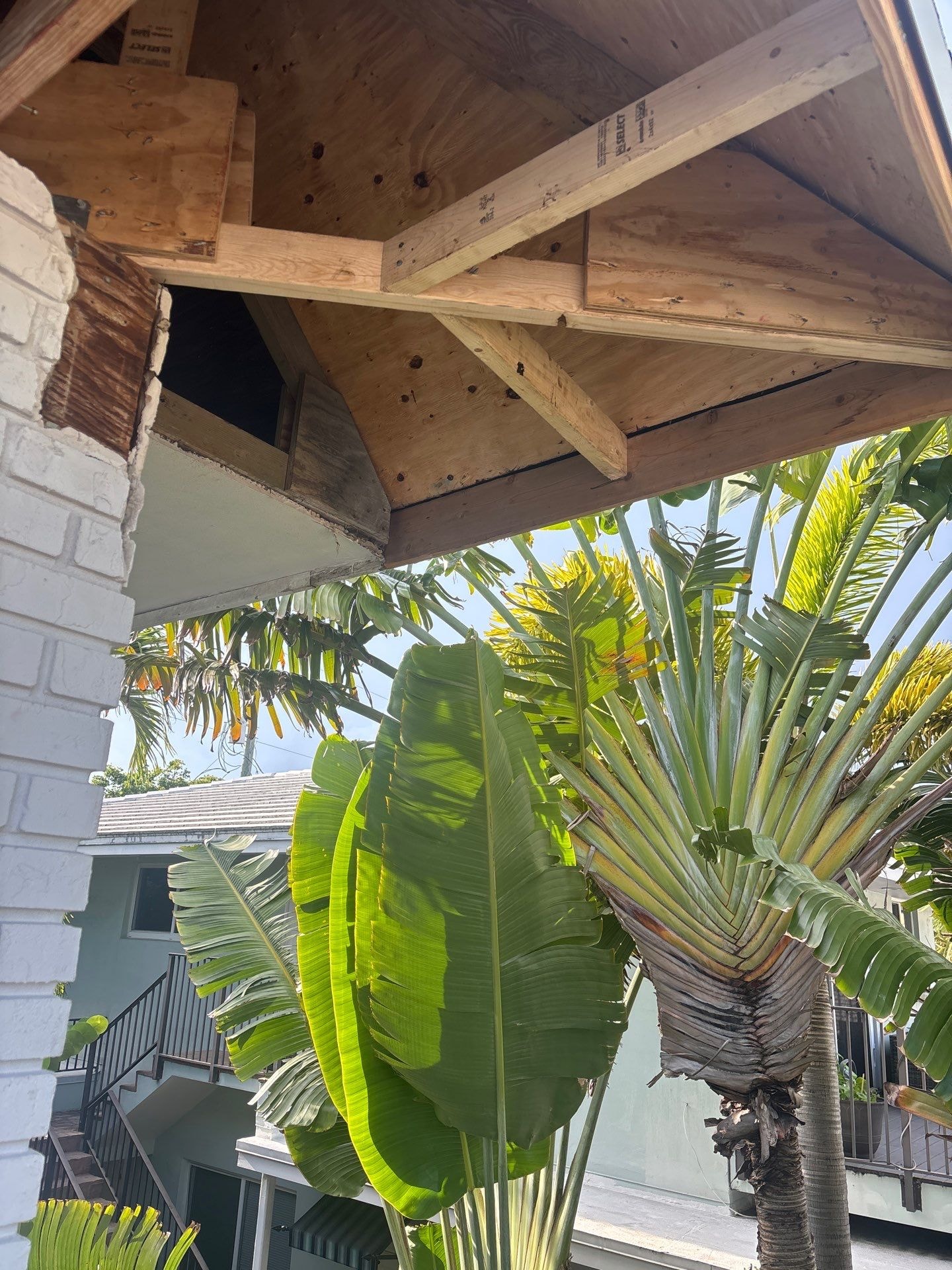Beachview Lauderdale-By-The-Sea project photo 15